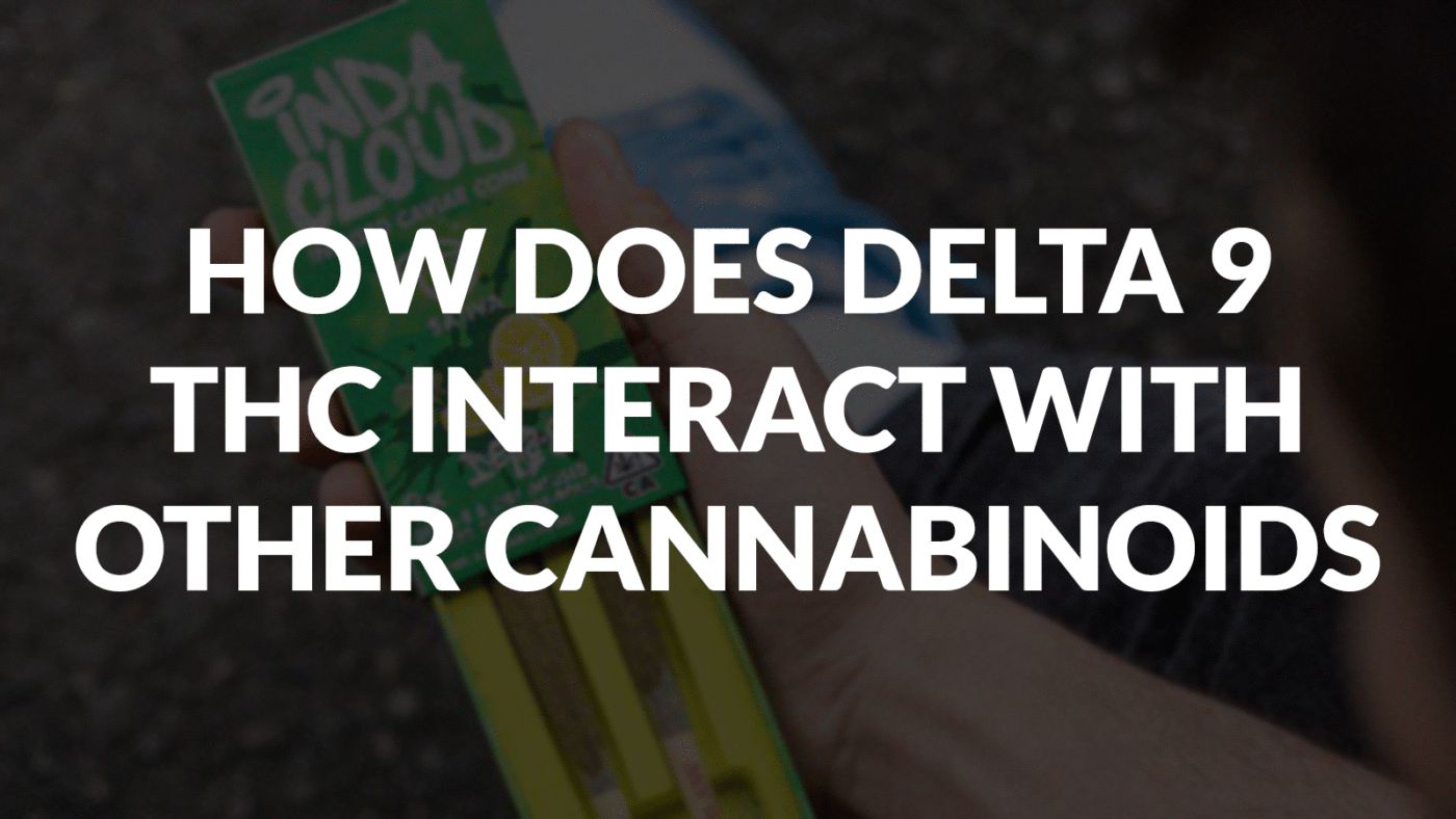 How Does Delta 9 Thc Interact With Other Cannabinoids? 13 How Does Delta 9 Thc Interact With Other Cannabinoids?