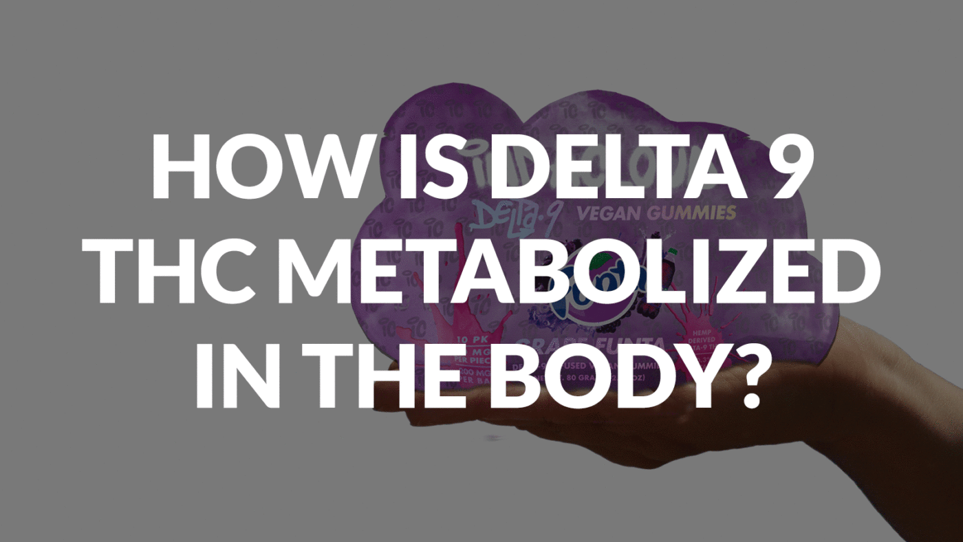 How Is Delta 9 Thc Metabolized In The Body? 10 How Is Delta 9 Thc Metabolized In The Body?
