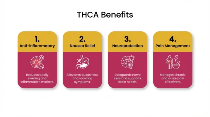 Cannavai Thca: Understanding The Benefits, Effects, And What Thca Infused Means 2 Thca Benefits Overview
